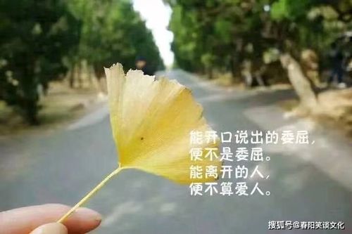 形容夏天的句子短句唯美