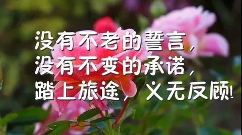 早上好精短句子