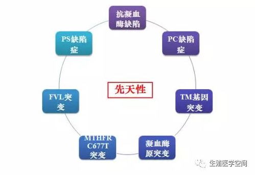 孕囊空囊是怎么回事怎么办