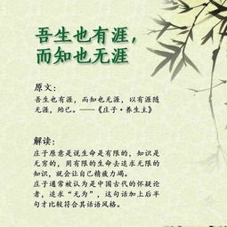 青春名言名句优美段落