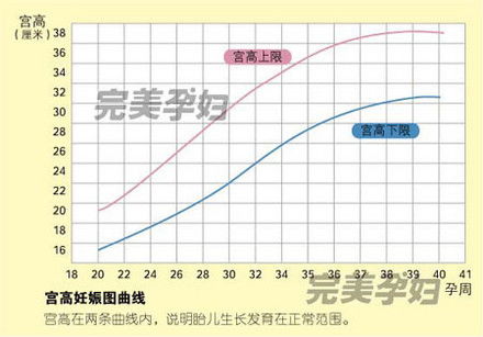 怀孕32周检查胎儿一切都好,胎心率153次/分,到了36周去检查时,胎儿心率155次/分,心律不齐,