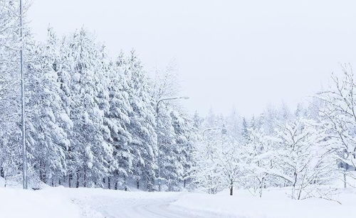 下雪了的朋友圈说说