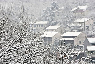 春天下雪有什么古老的说法没有