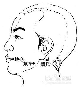 孕妇面瘫食疗方法视频