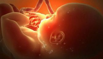 造成胎儿缺氧的原因有哪些症状