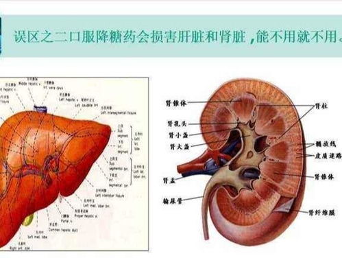 孕中期出现的症状有哪些