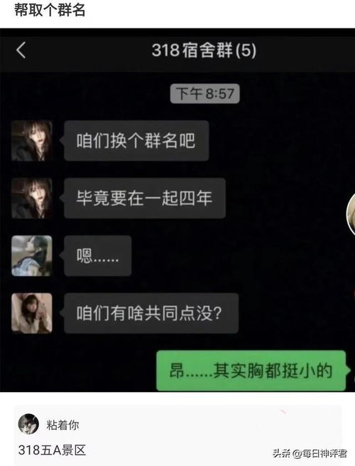 女朋友网名放reset是什么意思？