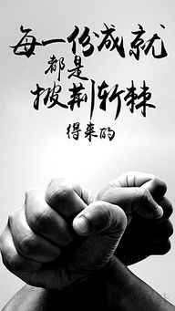 十句关于励志的句子