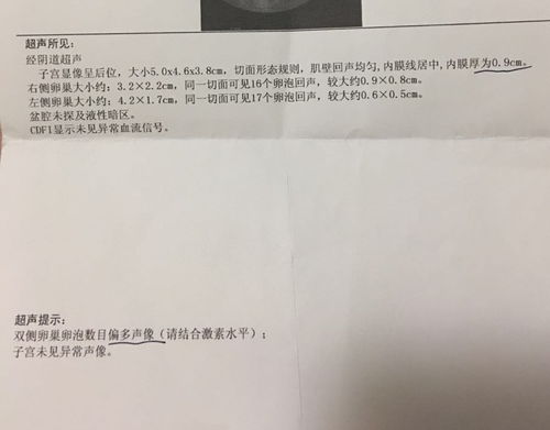 月经期间可以吃何首乌吗