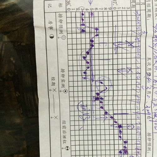 孕前测基础体温用哪种方式