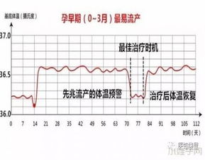 孕前测基础体温用哪种方式