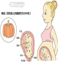 怀孕第6周注意事项和饮食