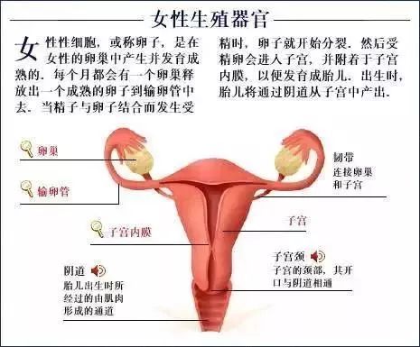 附件炎的症状及原因