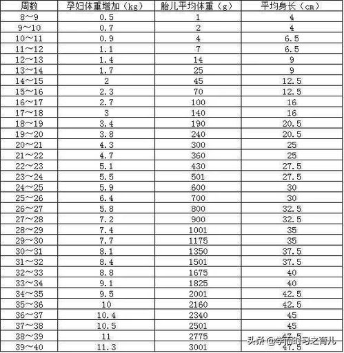 十一个月宝宝营养辅食食谱