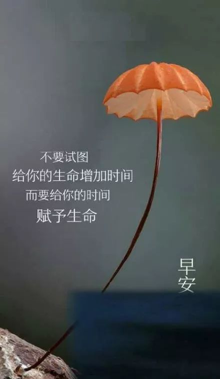 早安正能量励志经典语录短句