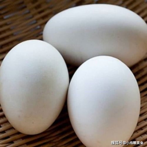 孕妇吃鸽子蛋有什么好处?