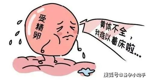 胚胎为什么会突然停止发育