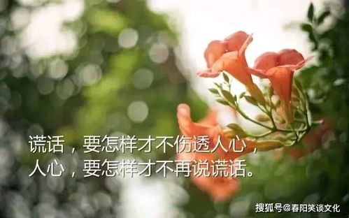 拍花发朋友圈的语句