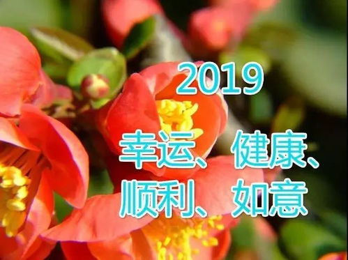 早上好健康祝福短句