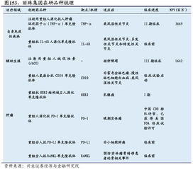 促排卵药什么时候吃比较好