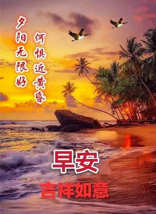 友情的早安祝福语