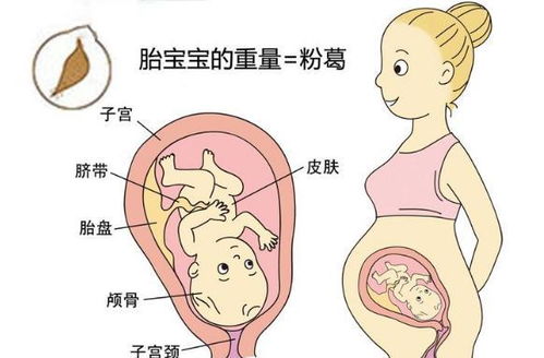 32周就生了孩子发育会怎么样呀