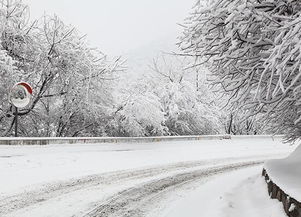 下雪天孕妇要注意什么事项