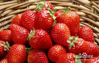 孕期可以吃草莓吗?
