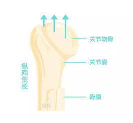 哪些方法可以缓解生长痛呢