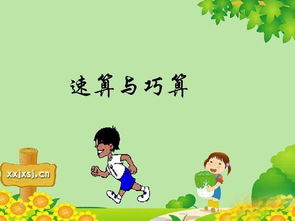 了解幼儿学算初步教育吗