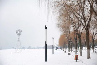 关于雪的浪漫文案