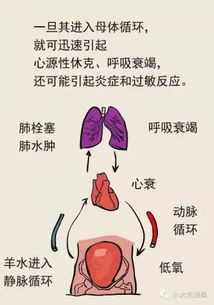 胎盘前置是怎么回事?