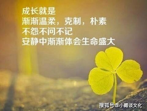 谷雨发朋友圈的短句