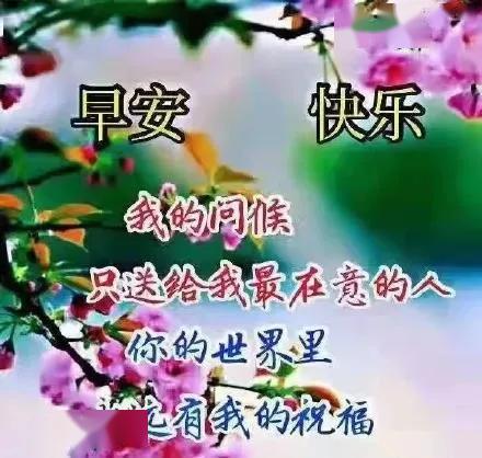 18个字的新年祝福语