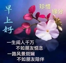 18个字的新年祝福语