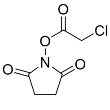 碱性磷酸酶是什么指标