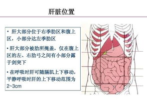 慢性气管炎偏方