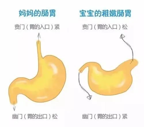 宝宝呕吐不紧张正确处理最重要