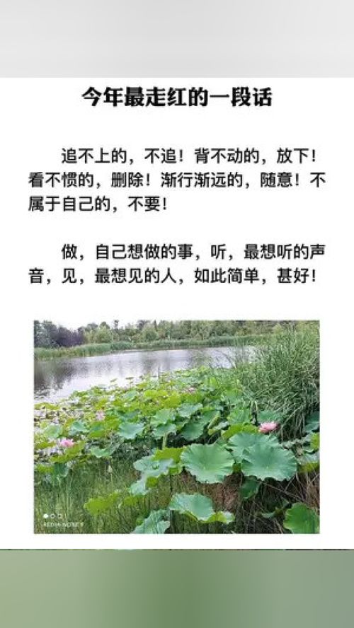 售卖粽子的文案