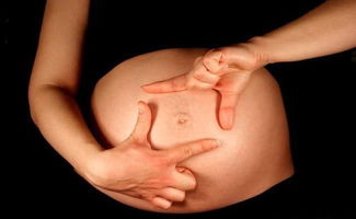 孕期有利于胎儿脑部发育的食物