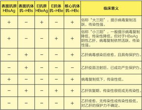 碱性磷酸酶正常值