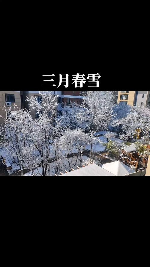 3月下雪好吗？