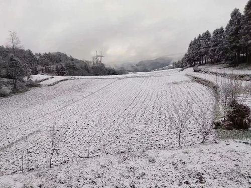 3月下雪好吗？