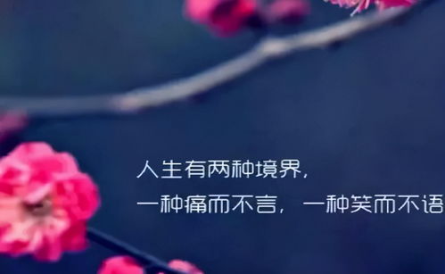 感慨经典的句子