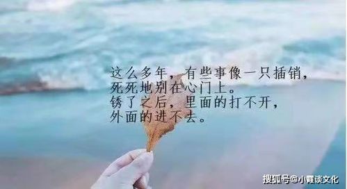 感慨经典的句子