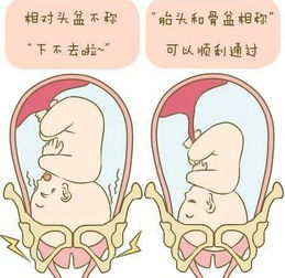 孕晚期自己一个人在家需要注意什么