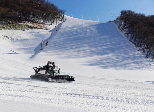 南沙群岛十二月份可能下雪吗