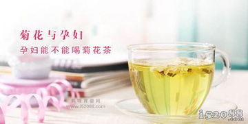 孕妇可以喝罗汉果菊花茶吗?