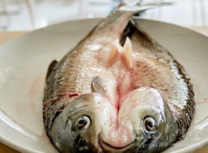 孕妇吃鱼有啥好处