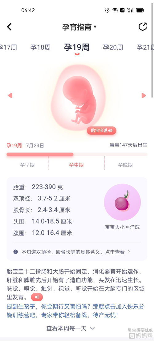 19周了，大家胎动频繁吗？